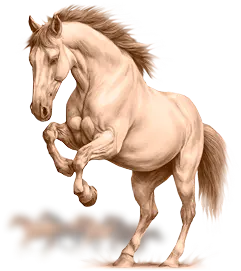 Наша концепция