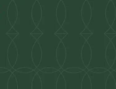 Наша концепция